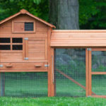 Poulailler pour 4 poules