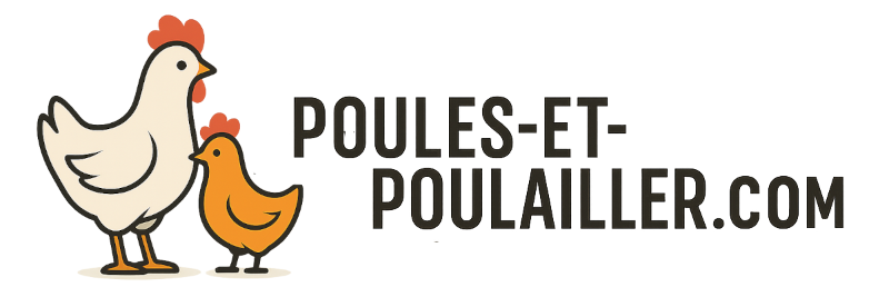 Poules et poulailler